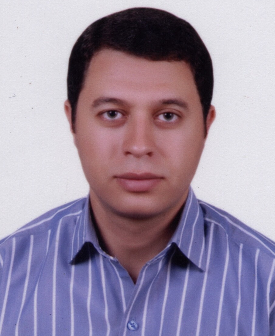 ا.د أحمد الخولي